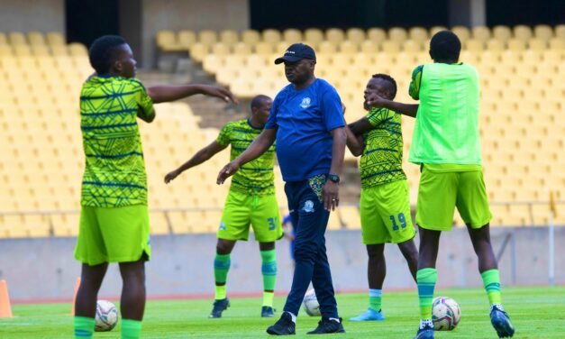Marumo Gallants appoint interim technical team