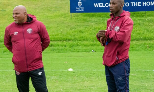 Swallows appoint Mammila as a Technical Director